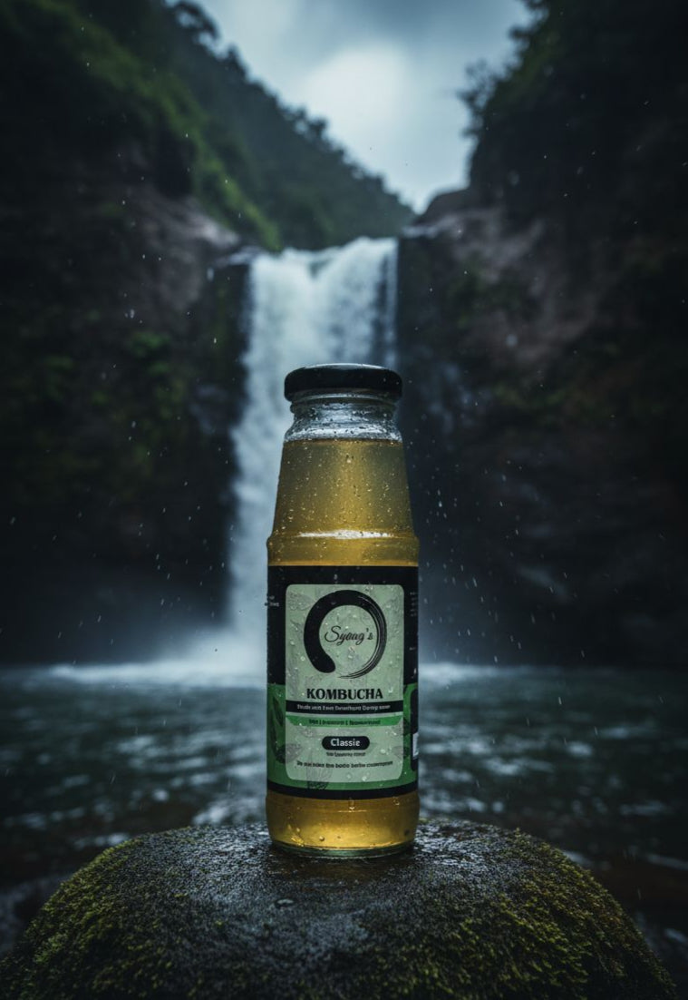 classic kombucha pack of 6